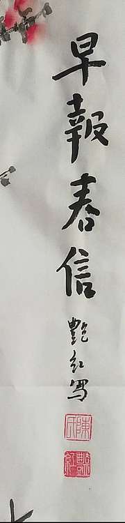 陈艳红 书画协会会员陈艳红早报春信