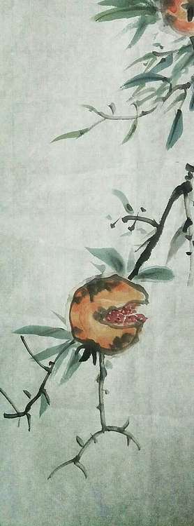 时利风 多籽图