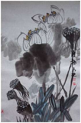 丰色 荷花