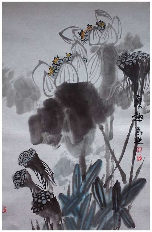 丰色 荷花