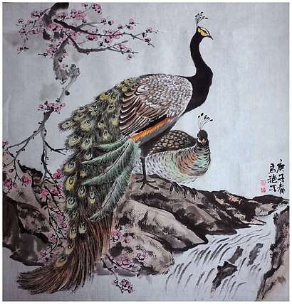丰色 孔雀