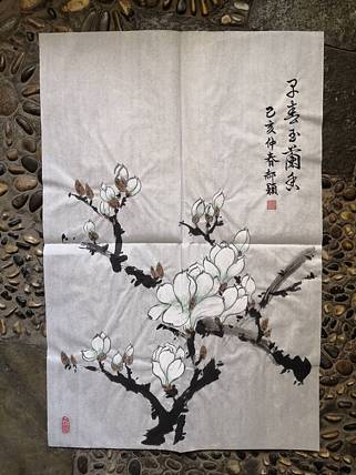 郝颖 早春玉兰香