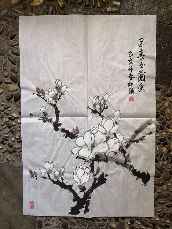 郝颖 早春玉兰香