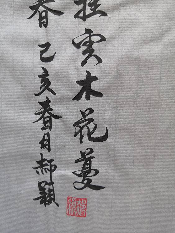 郝颖 紫藤挂云木