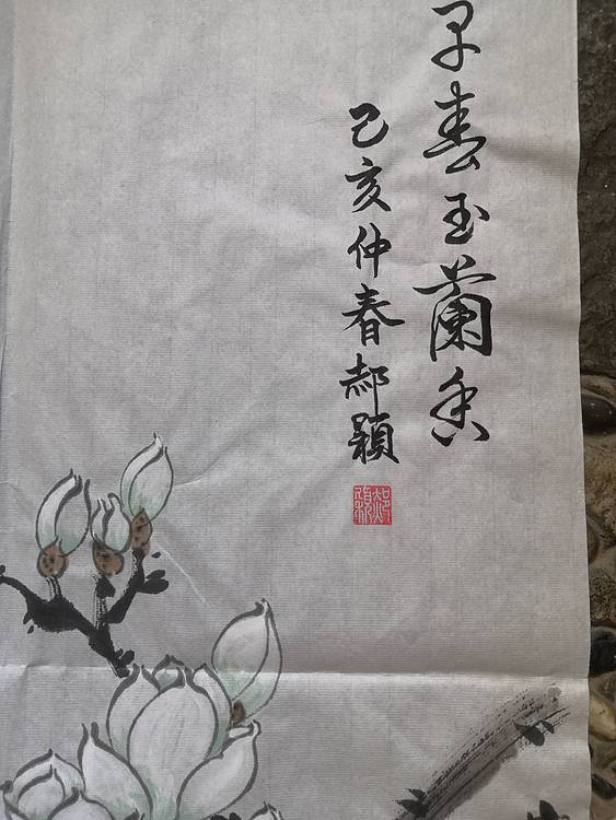 郝颖 早春玉兰香