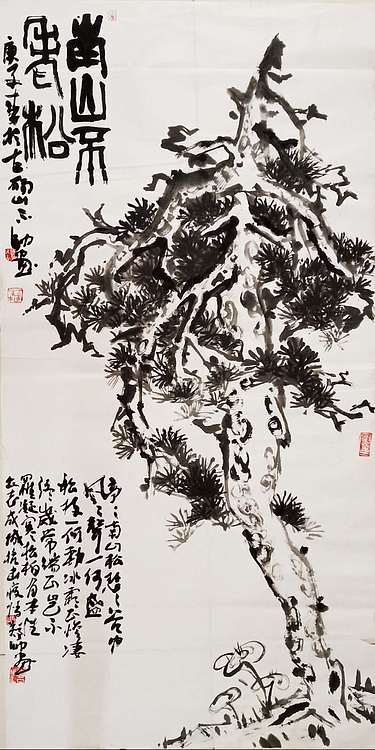 安徽省美协会员 不帅 南山不老松。