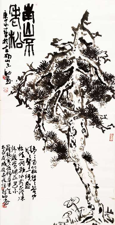安徽省美协会员 不帅 南山不老松。