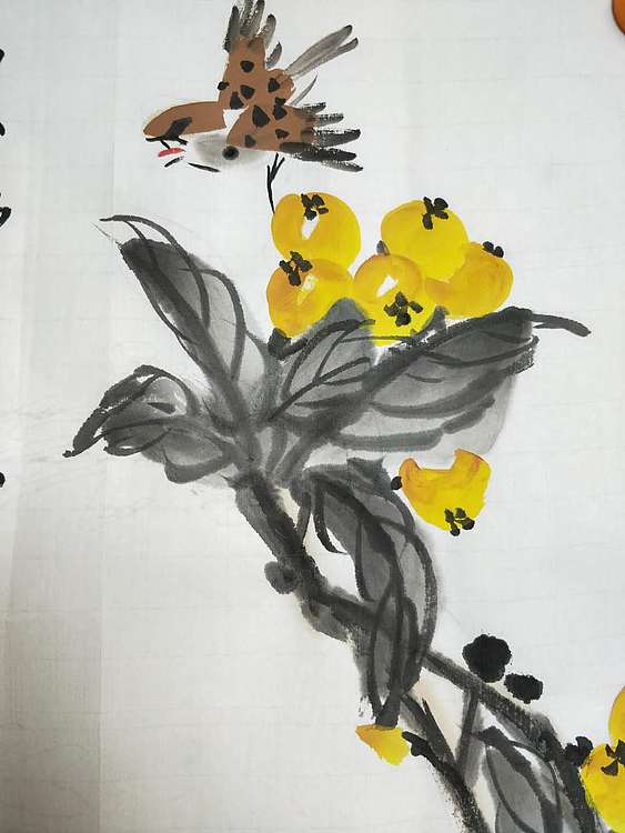 王建鑫 枇杷图，农家五月满树金。