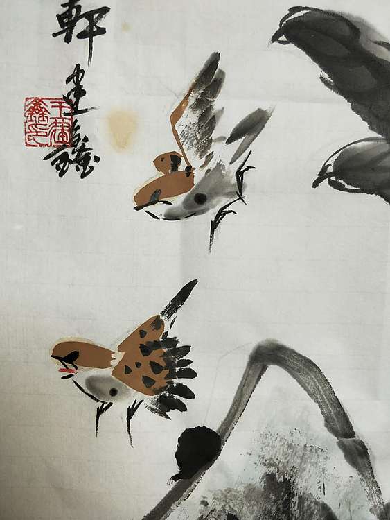 王建鑫 枇杷图，农家五月满树金。