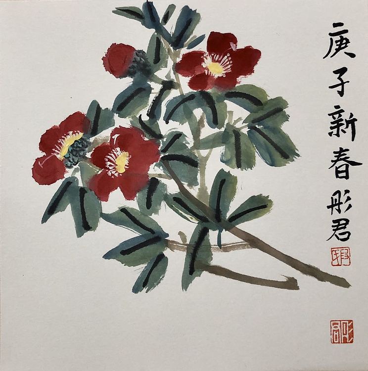 海南省美协会员 段彤君