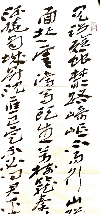 中国书协会员 安徽省书协理事 张华东