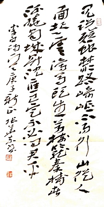 中国书协会员 安徽省书协理事 张华东