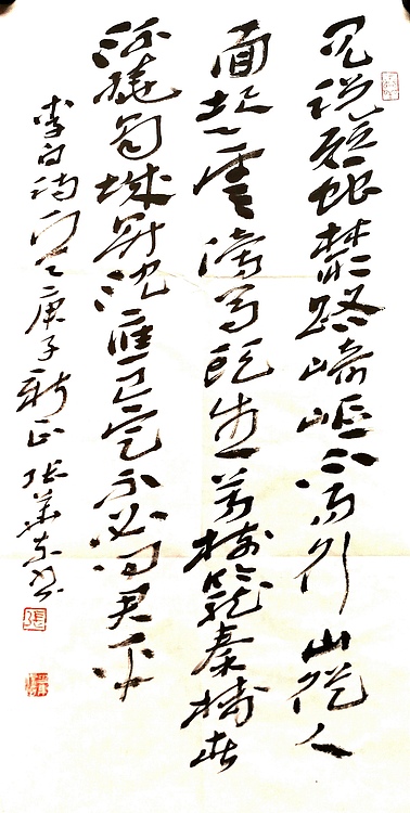 中国书协会员 安徽省书协理事 张华东