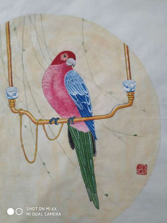 镜花水月 鹦鹉