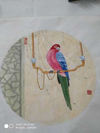 镜花水月 鹦鹉
