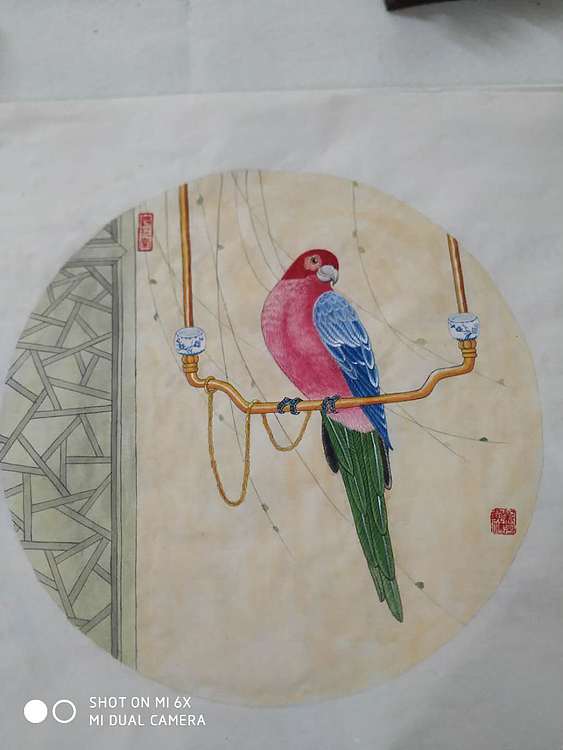 镜花水月 鹦鹉