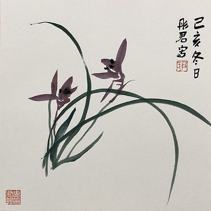 海南省美协会员 段彤君