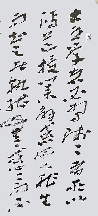 中国书协会员 安徽省书协理事 张华东