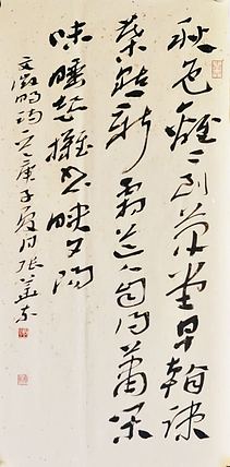 中国书协会员 安徽省书协理事 张华东