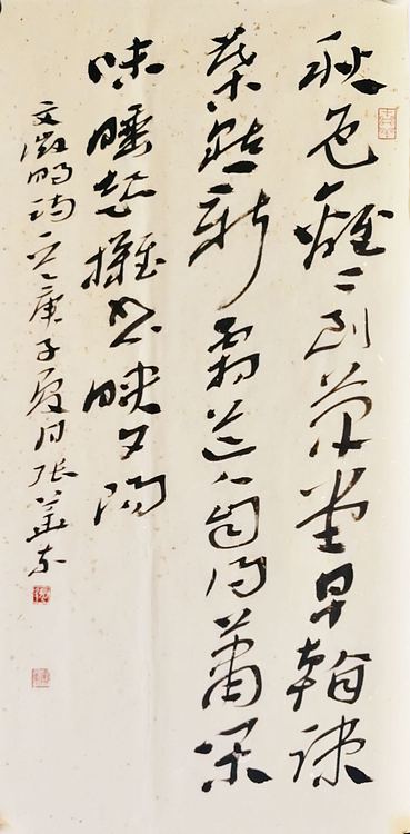 中国书协会员 安徽省书协理事 张华东
