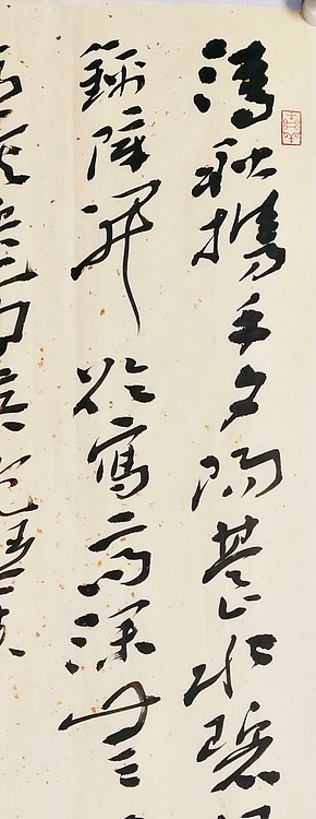 中国书协会员 安徽省书协理事 张华东