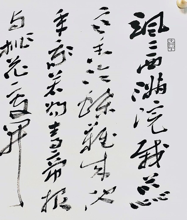 中国书协会员 安徽省书协理事 张华东