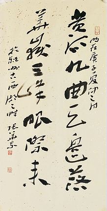 中国书协会员 安徽省书协理事 张华东