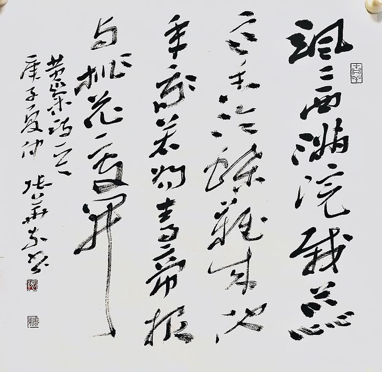中国书协会员 安徽省书协理事 张华东
