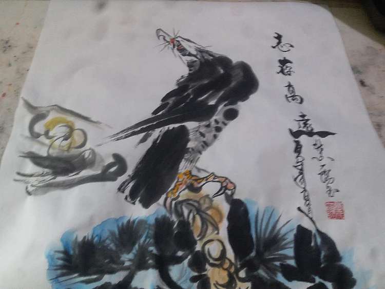 张阳 志存高远