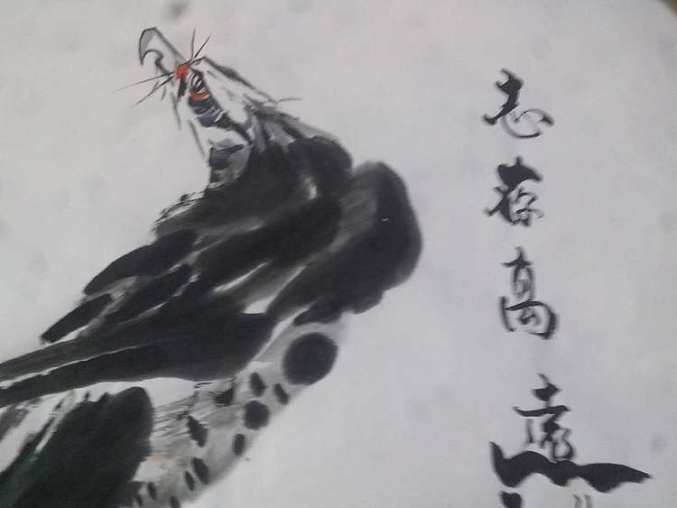 张阳 志存高远