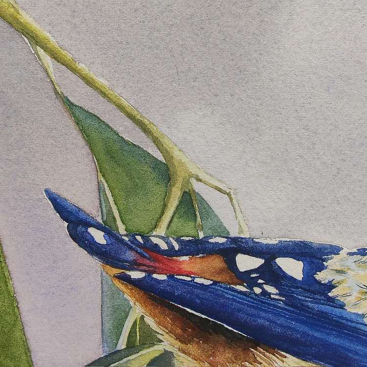 吴闽娜 春鸣