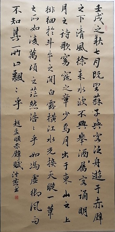 职业书画家 白洪燕 《临赤壁赋局部》