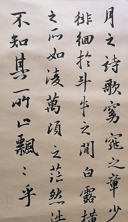 职业书画家 白洪燕 《临赤壁赋局部》