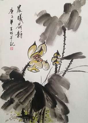 张玉柱 晨曦荷韵