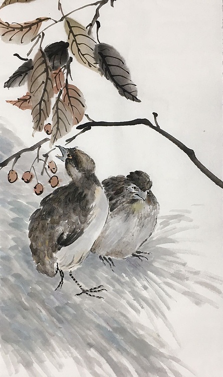 昭非 花鸟图
