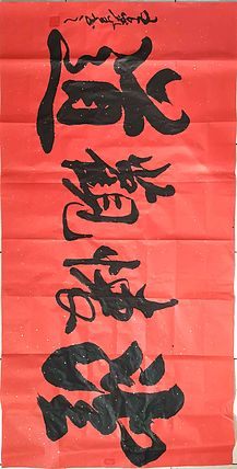 长沙墨苑书画院院务委员会名誉主席 王鑫生 书法