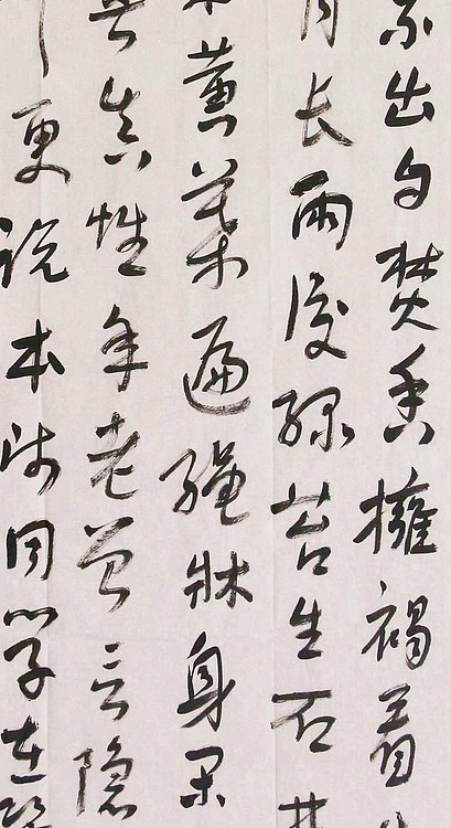 中国书法家协会会员 省书协评审委员会委员 张灵