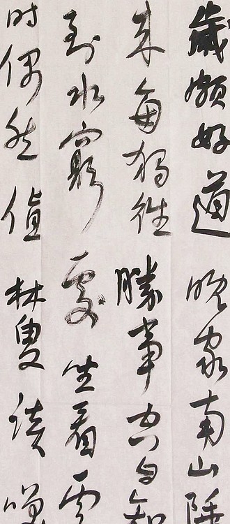 中国书法家协会会员 省书协评审委员会委员 张灵