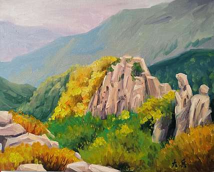 泰山当代艺术研究院院长 泰山大兵 泰山风景