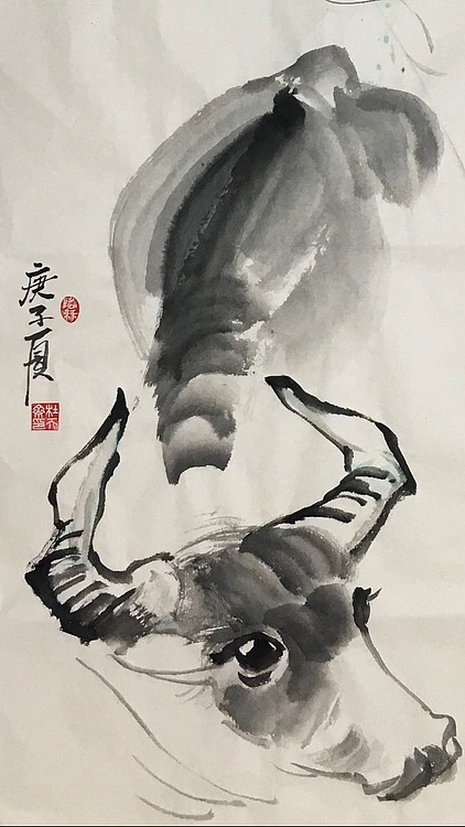 昭非 牧牛图