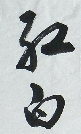 南無陀景霖 中书协会员南景黎行书中堂