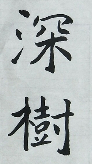 南無陀景霖 中书协会员南景黎楷书中堂