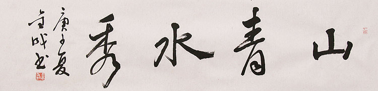 中美协中书协双会员 中国美院博士后博士生导师 苏金成 书法作品