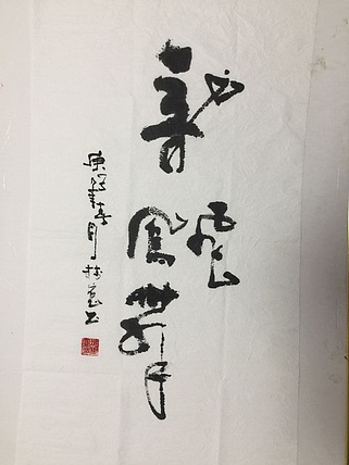 冯树宽 龙飞凤舞