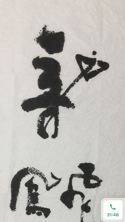 冯树宽 龙飞凤舞