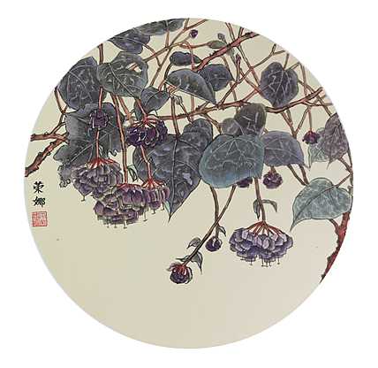 人大高研班 西安美协会员 来荣娜 花鸟 非洲芙蓉