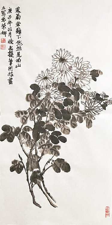 人大高研班 西安美协会员 来荣娜 花鸟 菊花