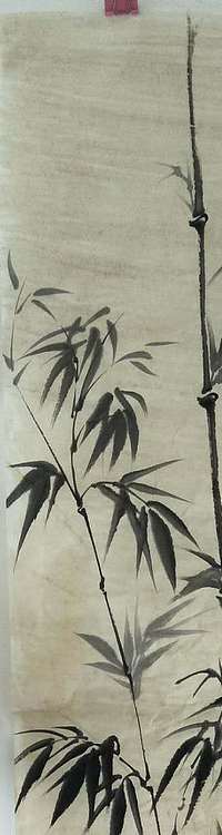 范彩君 山东德州美协会员，竹石图
