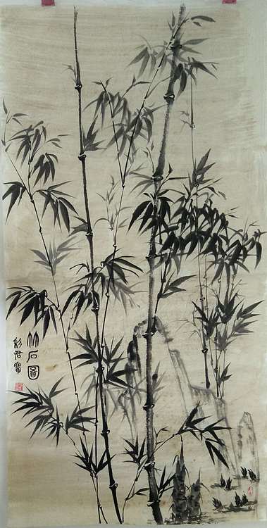 范彩君 山东德州美协会员，竹石图
