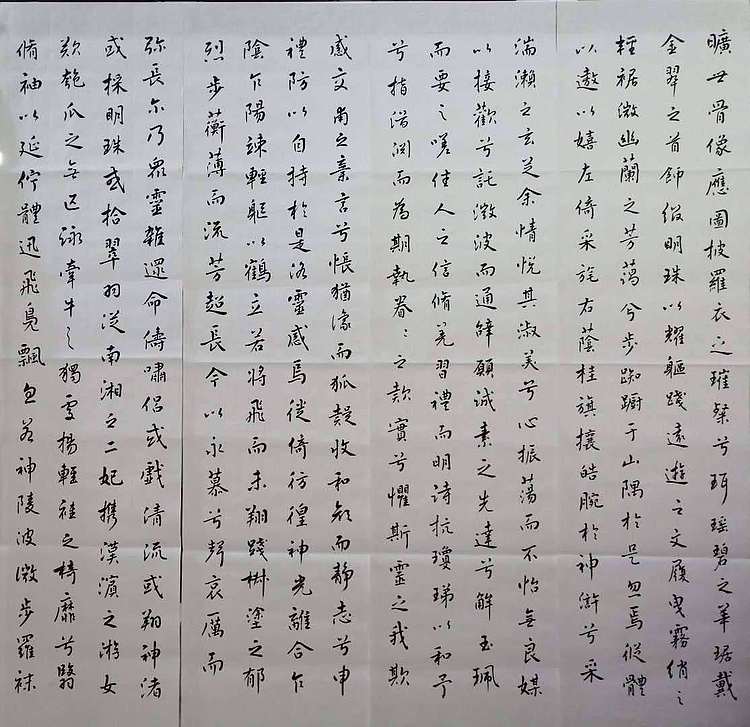 职业书画家 李天录 临王羲之洛神赋  12条屏